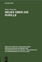 Hans Drischel - Neues über die Pupille