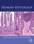 Bertalan Dudas, Bertalan (Assistant Dean of Research and Sc Dudas, Bertalan (Assistant Dean of Research and Scholarship Dudas, Dudas Bertalan - Human Histology