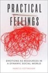 Marci D. Cottingham, Marci D. (Assistant Professor of Socio Cottingham, Marci D. (Assistant Professor of Sociology Cottingham, Marci D. (Associate Professor of Socio Cottingham - Practical Feelings
