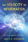 David P. Perrodin - Velocity of Information