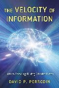 David P. Perrodin - Velocity of Information - Human Thinking During Chaotic Times