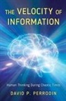 David P. Perrodin - Velocity of Information