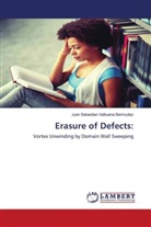 Juan Sebastian Valbuena Bermudez - Erasure of Defects: