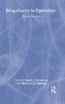 James Joseph Hennessy, Hennessy James Joseph, James J. Hennessy, Nathaniel J. Pallone - Drug Courts in Operation