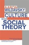 Richard M. Coughlin, Charles Lockhart, Aaron Wildavsky, Wildavsky Aaron, Sun-Ki Chai, Brendon Swedlow - Culture and Social Theory