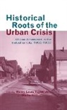 Walter Hill, Henry L. Taylor Jr. - Historical Roots of the Urban Crisis