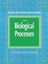 Gaetano Celenza, Gaetano Joseph Celenza, Celenza Gaetano - Industrial Waste Treatment Process Engineering