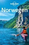 Oliver Berry, Anthony Ham, Donna Wheeler - LONELY PLANET Reiseführer Norwegen