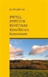 Jani Koskinen - Pwyll, Dyfedin ruhtinas - kymriläinen kansantaru