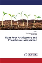 Angad Garde, Baslingappa Kalalbandi, Ajit Puri - Plant Root Architecture and Phosphorous Acquisition