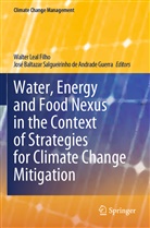 Baltazar Salgueirinho de Andrad, José Baltazar Salgueirinho de Andrade Guerra, Walte Leal Filho, Walter Leal Filho - Water, Energy and Food Nexus in the Context of Strategies for Climate Change Mitigation