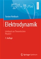 Torsten Fliessbach - Elektrodynamik