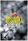 Jerzy Kosinski - Boyali Kus
