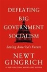 Newt Gingrich - Defeating Big Government Socialism