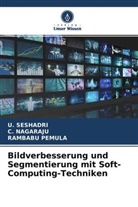 Nagaraju, C NAGARAJU, C. Nagaraju, RAMBABU PEMULA, Seshadri, U SESHADRI... - Bildverbesserung und Segmentierung mit Soft-Computing-Techniken