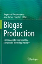 Nagaman Balagurusamy, Nagamani Balagurusamy, Anuj Kumar Chandel, Kumar Chandel, Kumar Chandel - Biogas Production