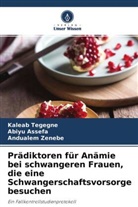 Abiyu Assefa, Kaleab Tegegne, Andualem Zenebe - Prädiktoren für Anämie bei schwangeren Frauen, die eine Schwangerschaftsvorsorge besuchen