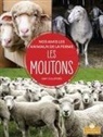 Amy Culliford - Les Moutons (Sheep)