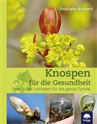 Stéphane Boistard - Knospen für die Gesundheit