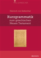 Heinrich von Siebenthal, Heinrich von (Prof. Dr.) Siebenthal, Siebenthal  Heinrich von - Kurzgrammatik zum griechischen Neuen Testament