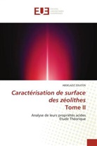 ABDELAZIZ ZOUITEN - Caractérisation de surface des zéolithes Tome II