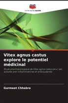 Gurmeet Chhabra - Vitex agnus castus explore le potentiel médicinal