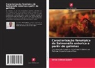 Idriss Ahmed Jajere - Caracterização fenotípica de Salmonella enterica a partir de galinhas