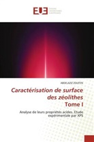 ABDELAZIZ ZOUITEN - Caractérisation de surface des zéolithes Tome I