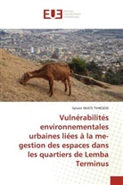 Sylvain Nkate Tshiesese - Vulnérabilités environnementales urbaines liées à la me-gestion des espaces dans les quartiers de Lemba Terminus