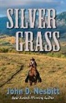 John D. Nesbitt - Silver Grass