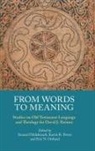 Samuel Hildebrandt, Eric N Ortlund, Eric N. Ortlund, Kurtis R Peters, Kurtis R. Peters - From Words to Meaning