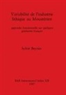 Sylvie Beyries - Variabilité de l'Industrie lithique au Moustérien