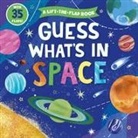Clever Publishing, Elena Zolotareva, Lena Zolotareva - Guess What's in Space