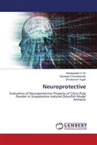 Sandeep Chandakavate, Nanjappaiah H. M., Shivakumar Hugar - Neuroprotective