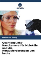 Mahmoud Fathy - Quantenpunkt-Nanokamera für Moleküle und die Herausforderungen von heute