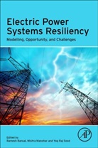 Ramesh (Department of Electrical Engineeri Bansal, Ramesh C. (Professor Bansal, Ramesh C. (Professor At the University of Bansal, Ramesh Bansal, Ramesh (Department of Electrical Engineering Bansal, Ramesh C. Bansal... - Electric Power Systems Resiliency
