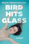 Beate Triantafilidis - Bird Hits Glass