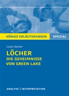 Volker Krischel, Louis Sachar - Löcher