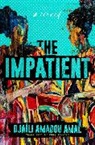 Djaili Amadou Amal - The Impatient