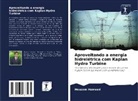 Moazam Hameed - Aproveitando a energia hidrelétrica com Kaplan Hydro Turbine
