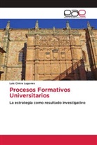Luis Cintra Lugones - Procesos Formativos Universitarios