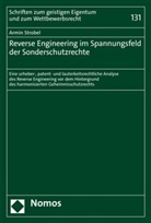 Armin Strobel - Reverse Engineering im Spannungsfeld der Sonderschutzrechte