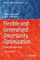 Weldon A Lodwick, Weldon A. Lodwick, Luiz L Salles-Neto, Luiz L. Salles-Neto - Flexible and Generalized Uncertainty Optimization
