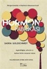 Saskia Goldschmidt - Hormon Fabrikasi