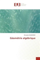 Mustapha Najmeddine - Géométrie algébrique