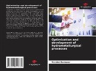 Yassine Darmane - Optimization and development of hydrometallurgical processes