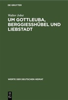 Walter Jobst - Um Gottleuba, Berggiesshübel und Liebstadt
