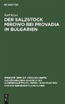 Karl Kegel - Der Salzstock Mirowo bei Provadia in Bulgarien