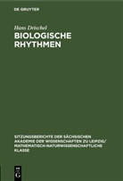 Hans Drischel - Biologische Rhythmen