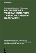 Rolf Barthel, Gottfried Wiedemann - Probleme der Verstärkung von Thermoplasten mit Glasfasern